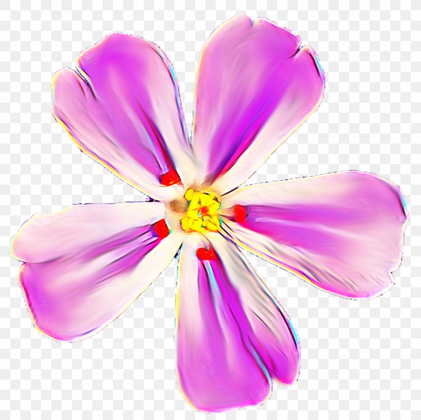 Mallows Violaceae Geraniums Family M Invest D.o.o., PNG, 1600x1600px, Mallows, Family M Invest Doo, Flower, Flowering Plant, Geraniales Download Free