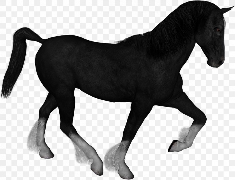 Mustang Horses Clip Art, PNG, 1200x923px, Mustang, Animal Figure, Animation, Bit, Black And White Download Free