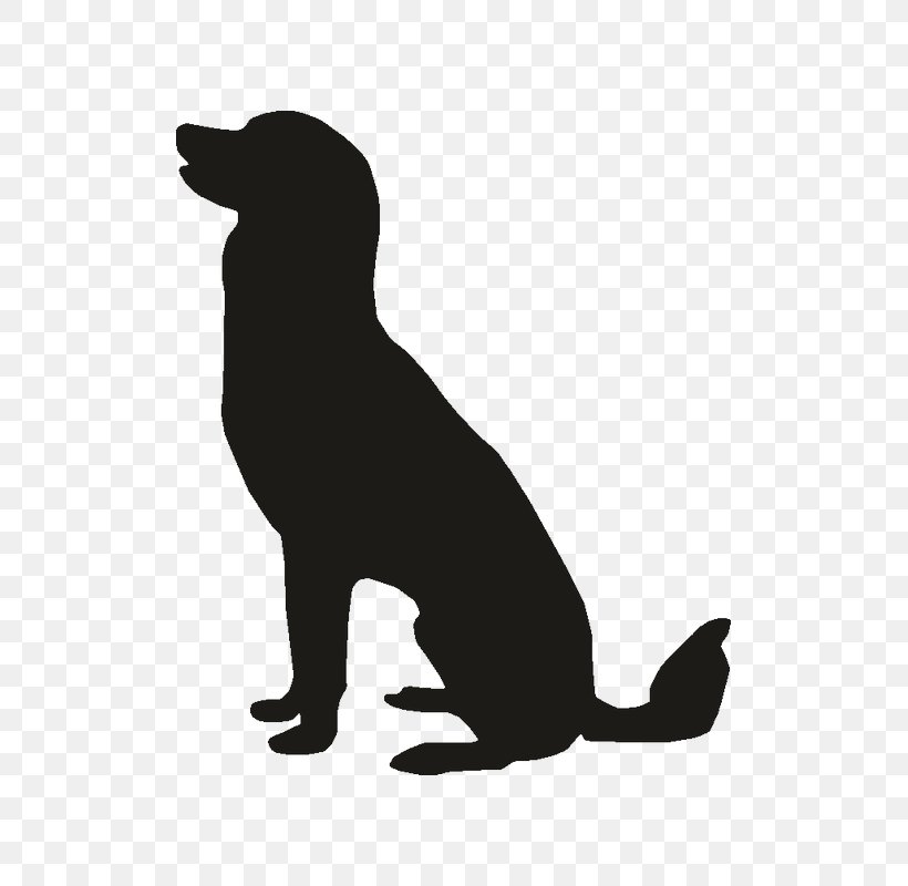 Pet Sitting Labrador Retriever Puppy Golden Retriever Beagle, PNG, 800x800px, Pet Sitting, Beagle, Black, Black And White, Carnivoran Download Free