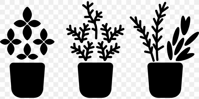Plant Stem Flowering Plant Leaf Font, PNG, 1920x960px, Plant Stem, Blackandwhite, Branch, Branching, Cup Download Free