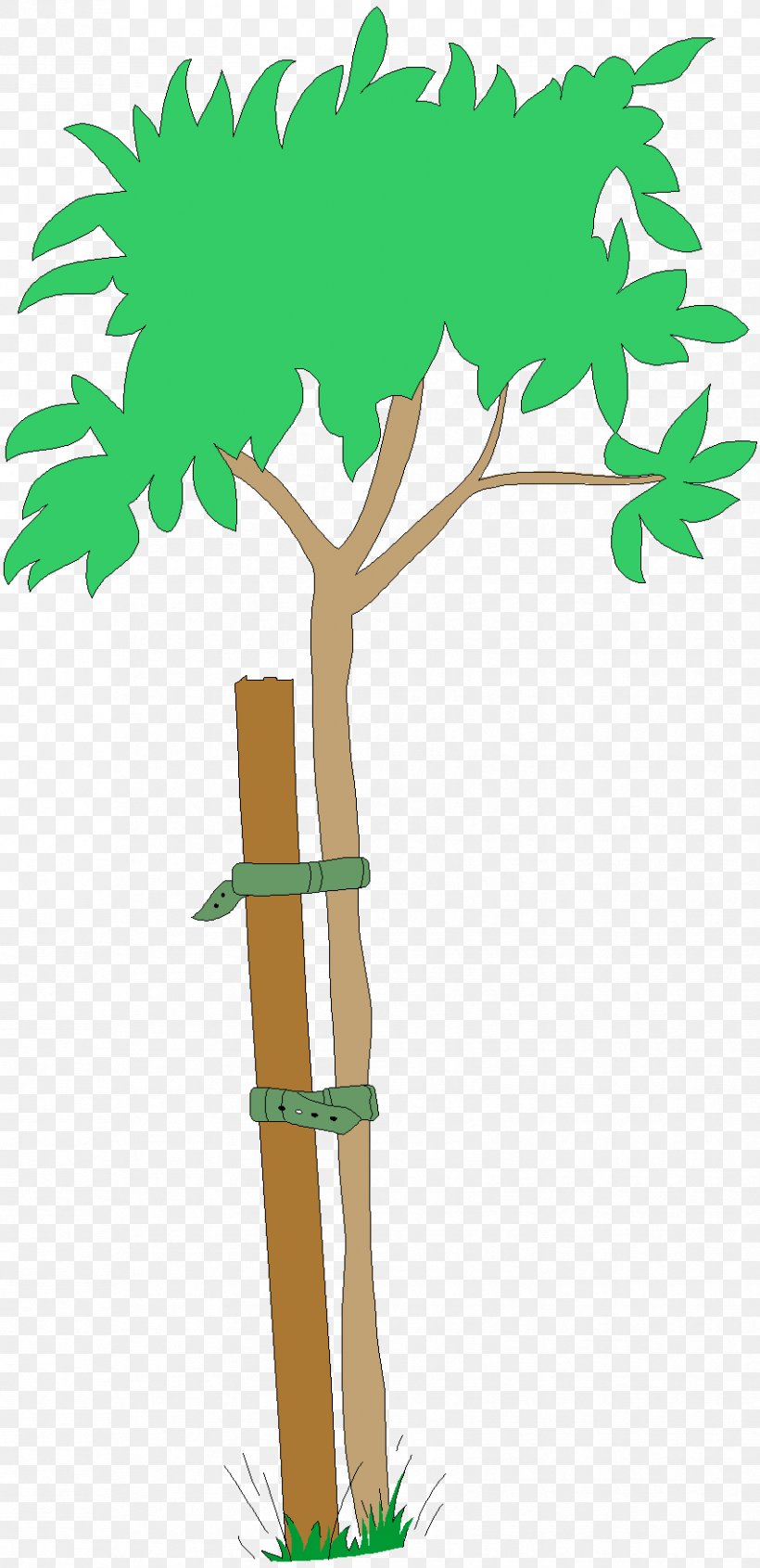 Tree, PNG, 852x1758px, Tree, Animation, Branch, Child, Document Download Free