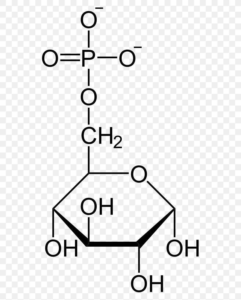 Glucose Molecule Organic Compound Organic Chemistry Fructose, PNG, 562x1023px, Glucose, Amylose, Anomer, Area, Black And White Download Free