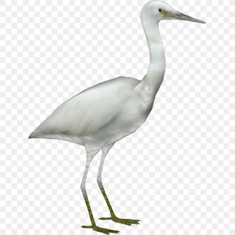 Great Egret Crane Heron Bird, PNG, 874x874px, Great Egret, Beak, Bird, Cattle Egret, Ciconiiformes Download Free