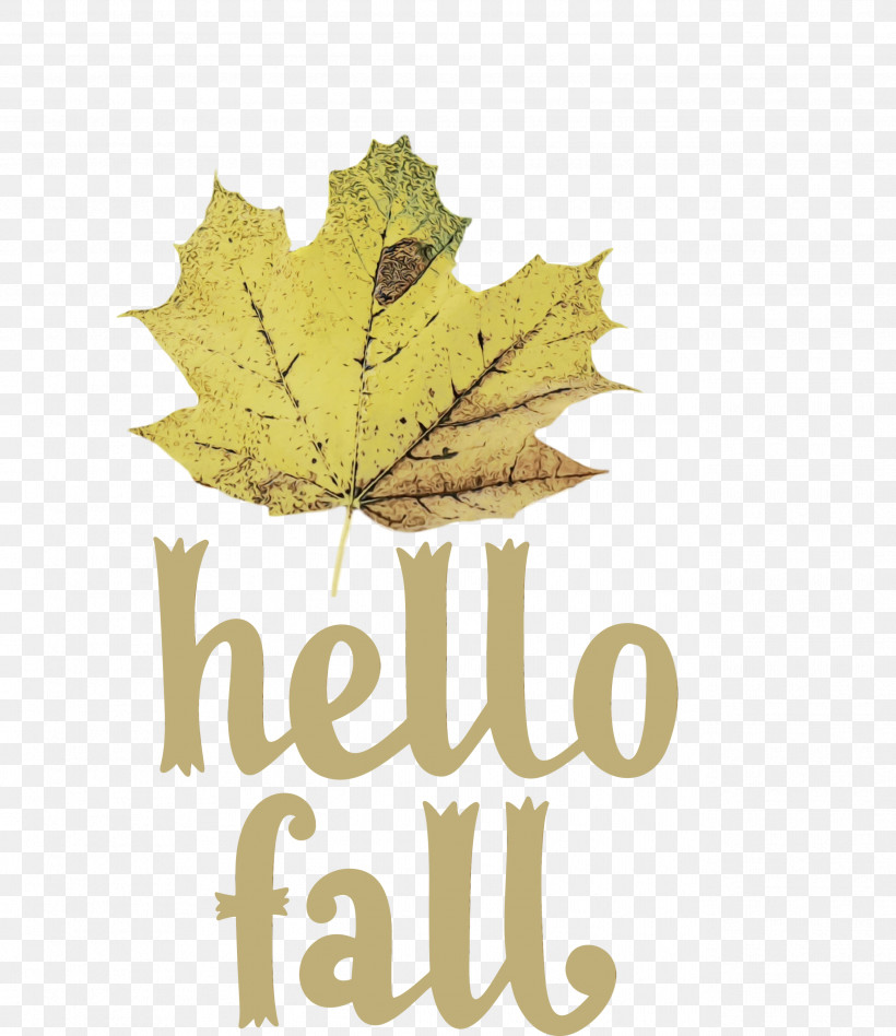 Leaf Maple Leaf / M Font Tree Meter, PNG, 2593x3000px, Hello Fall, Autumn, Biology, Fall, Leaf Download Free