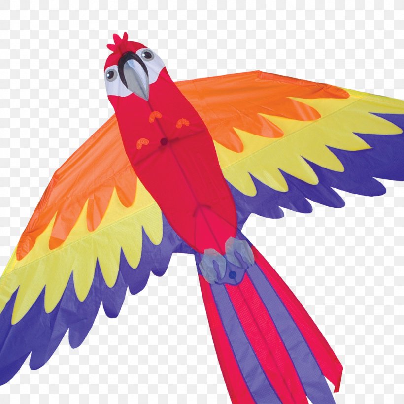 Parrot Bird Macaw Kite Line, PNG, 1024x1024px, Parrot, Airplane, Beak, Bird, Box Kite Download Free