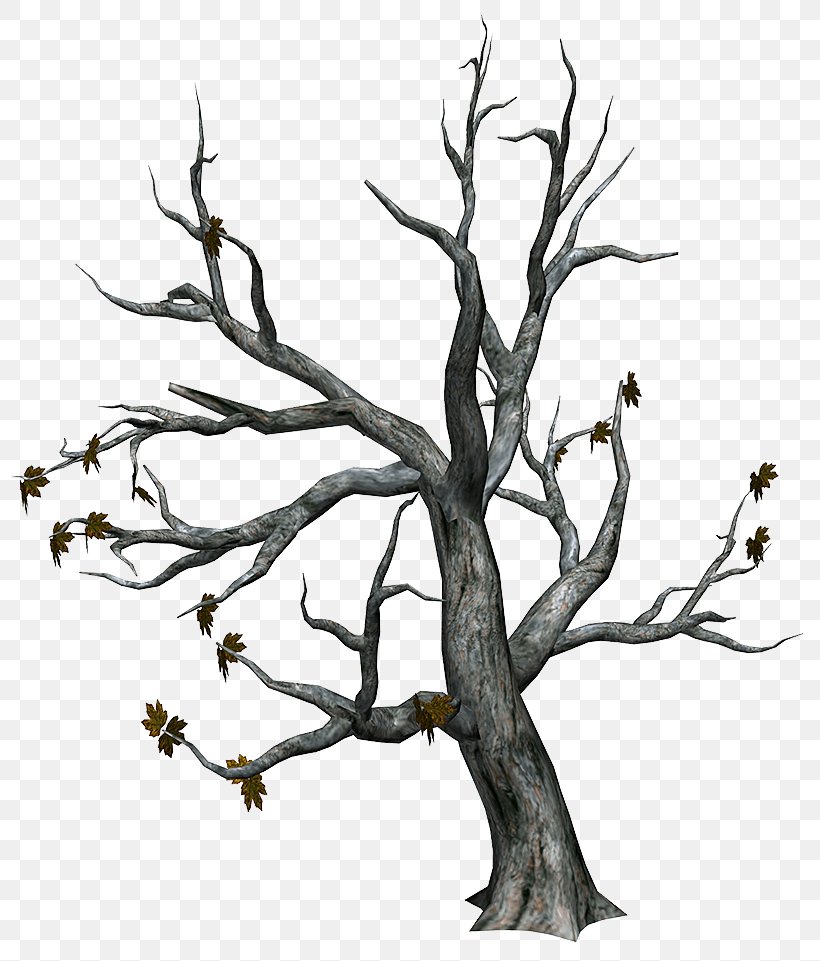 Tree Download Trunk Clip Art, PNG, 800x961px, Tree, Art, Black And White, Branch, Digital Image Download Free