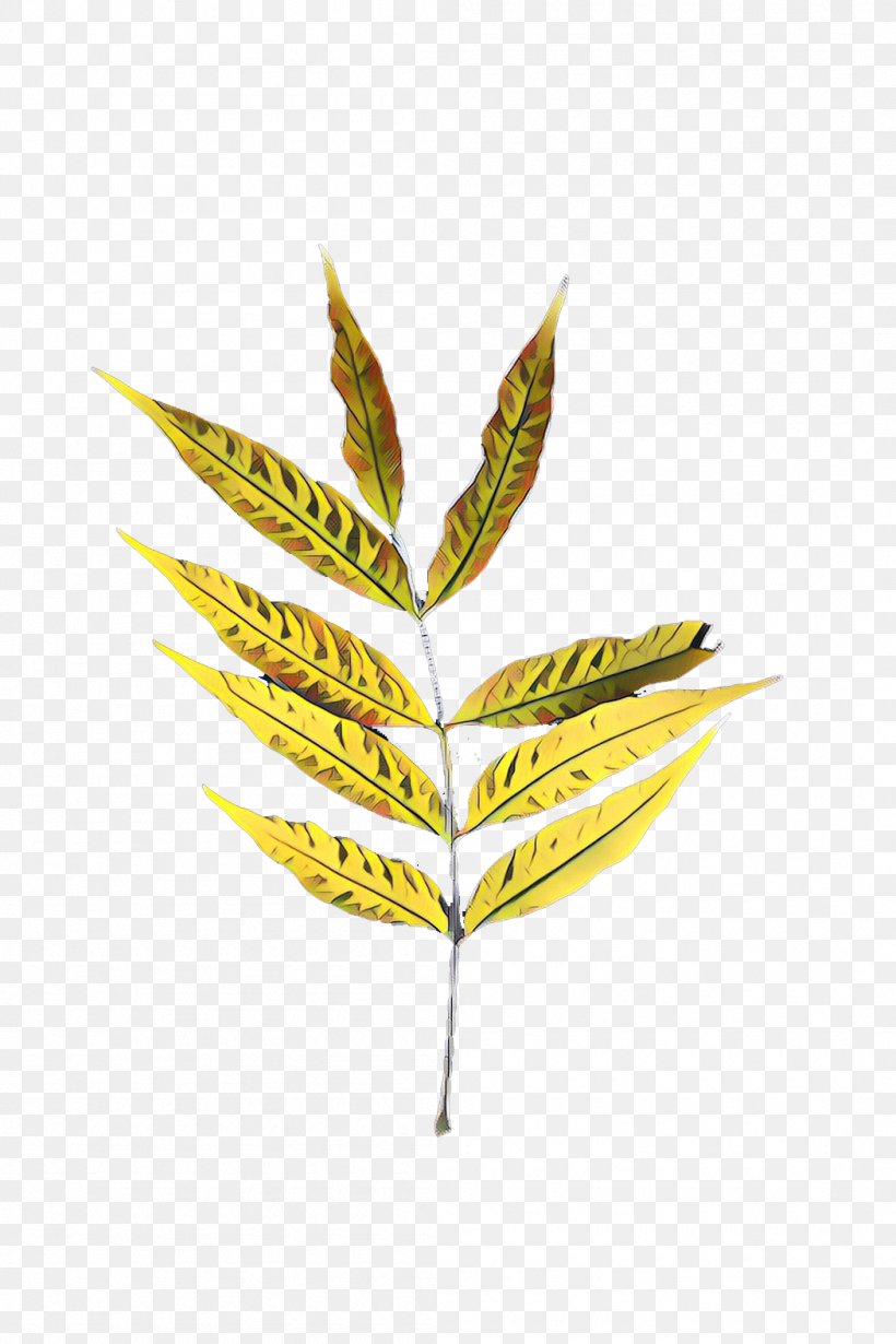 Twig Plant Stem Leaf Plants, PNG, 1050x1575px, Twig, Botany, Flower, Flowering Plant, Leaf Download Free