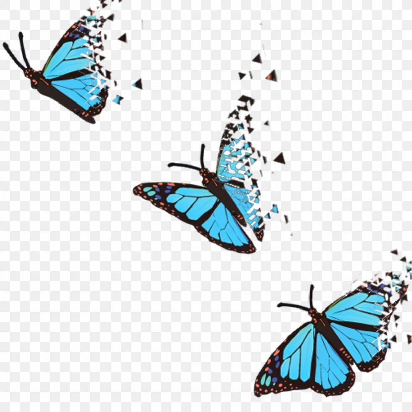 Butterfly Clip Art, PNG, 1024x1024px, Butterfly, Art, Brush Footed Butterfly, Drawing, Insect Download Free