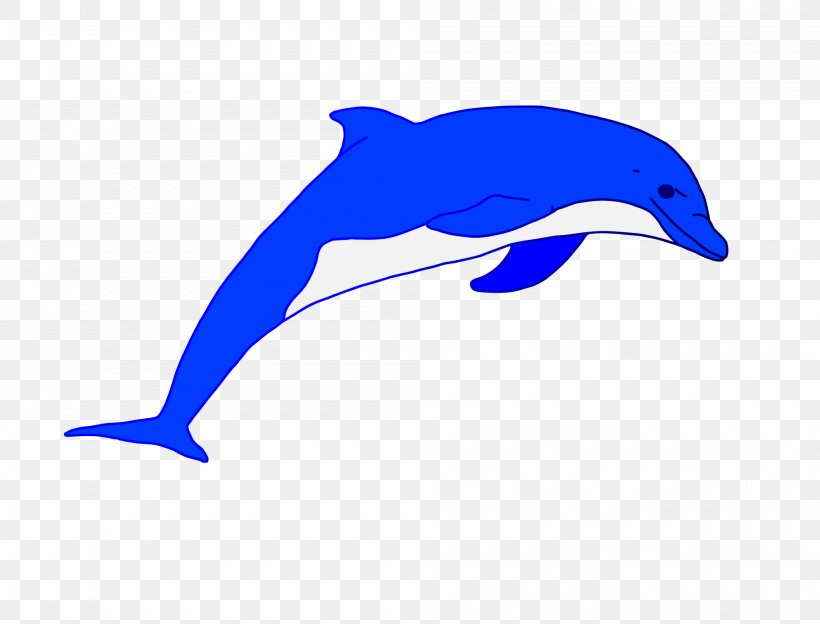 Common Bottlenose Dolphin Short-beaked Common Dolphin Tucuxi Rough-toothed Dolphin, PNG, 2000x1524px, Common Bottlenose Dolphin, Beak, Bottlenose Dolphin, Cobalt, Cobalt Blue Download Free