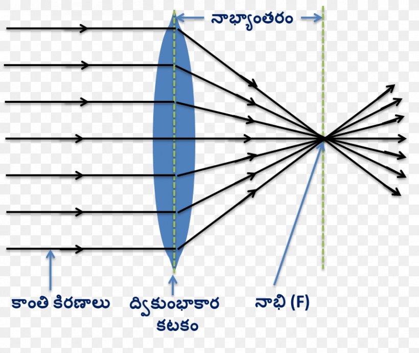 Light Refraction Lens Convex Ray, PNG, 856x721px, Light, Area, Camera Lens, Concave Function, Convex Download Free