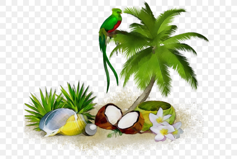 Palm Tree, PNG, 650x552px, Watercolor, Aquarium Decor, Arecales, Coconut, Garnish Download Free