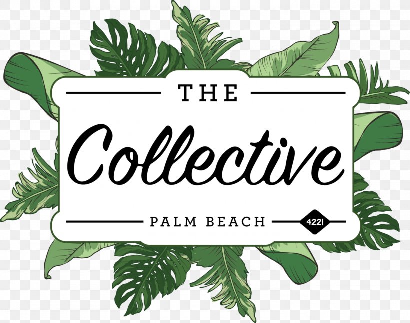 The Collective Palm Beach Food Restaurant Pier Marina Mirage, PNG, 1500x1183px, Beach, Area, Bar, Brand, Coast Download Free