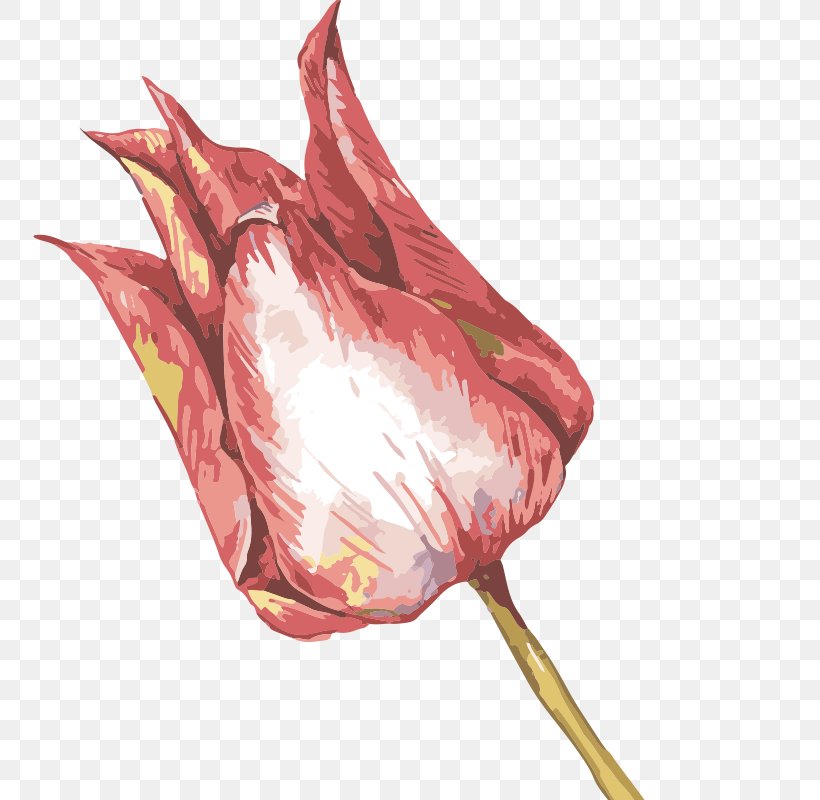 Watercolor Painting Oil Painting Illustration, PNG, 800x800px, Watercolor Painting, Art, Birdandflower Painting, Flower, Flowering Plant Download Free