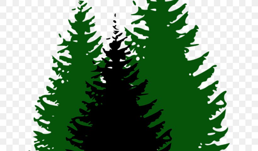 Christmas Tree Silhouette, PNG, 640x480px, Silhouette, American Larch, Balsam Fir, Canadian Fir, Christmas Day Download Free