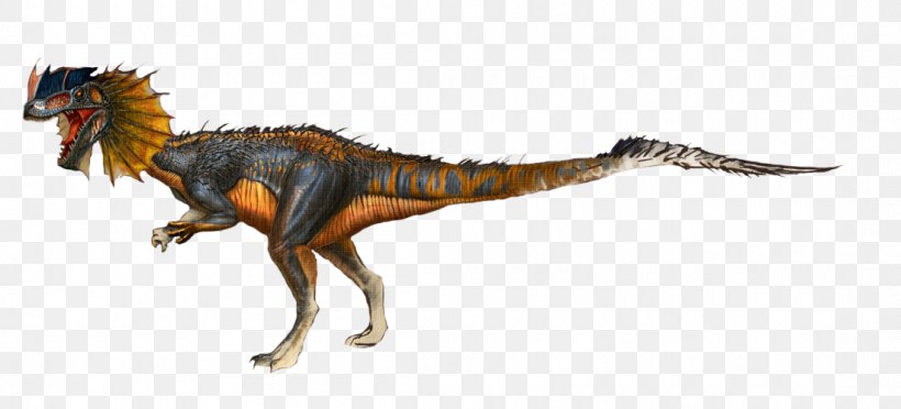Dilophosaurus ARK: Survival Evolved Giganotosaurus Tyrannosaurus Anchisaurus, PNG, 1100x500px, Dilophosaurus, Allosaurus, Anchisaurus, Animal Figure, Ark Survival Evolved Download Free