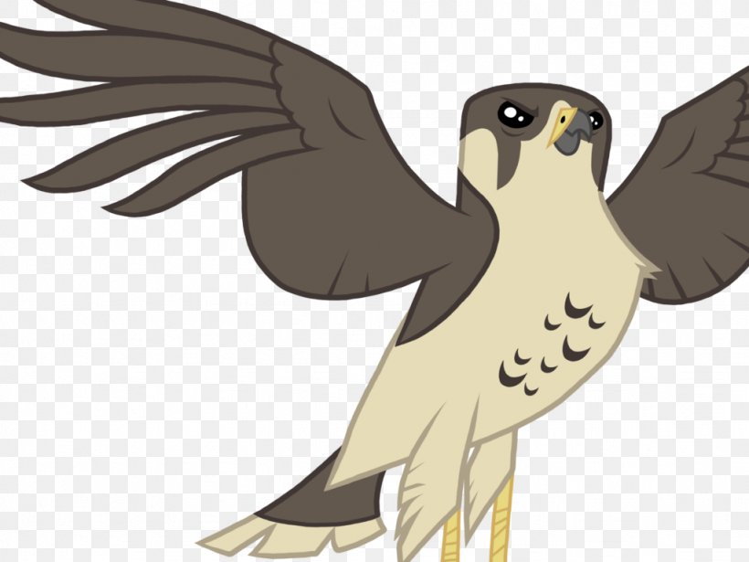 Falcon Hawk Rainbow Dash Pony, PNG, 1024x768px, Falcon, Beak, Bird, Bird Of Prey, Deviantart Download Free