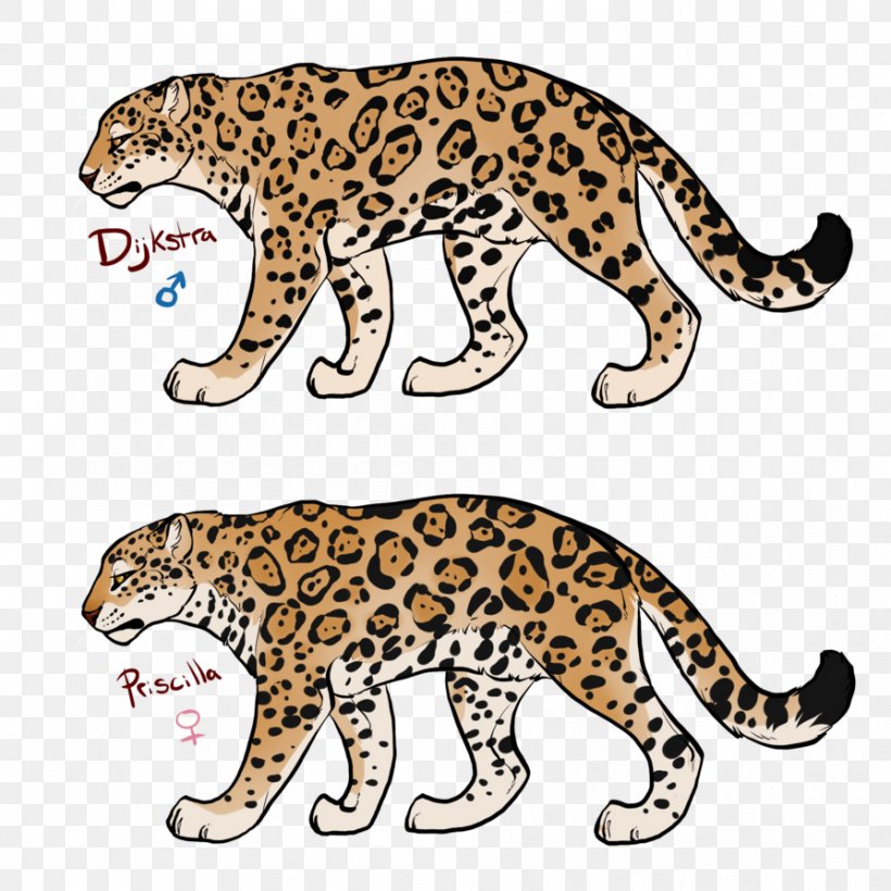 Leopard Jaguar Ocelot Cheetah Wildcat, PNG, 894x894px, Leopard, Animal, Animal Figure, Big Cats, Carnivoran Download Free