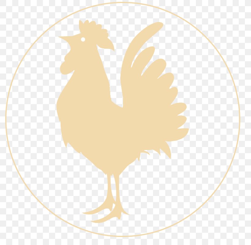 Rooster Beak Silhouette Clip Art, PNG, 800x800px, Rooster, Beak, Bird, Chicken, Chicken As Food Download Free