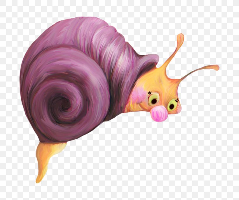 Sea Snail Snail Snails And Slugs Purple Animation, PNG, 800x687px, Sea Snail, Animation, Purple, Snail, Snails And Slugs Download Free