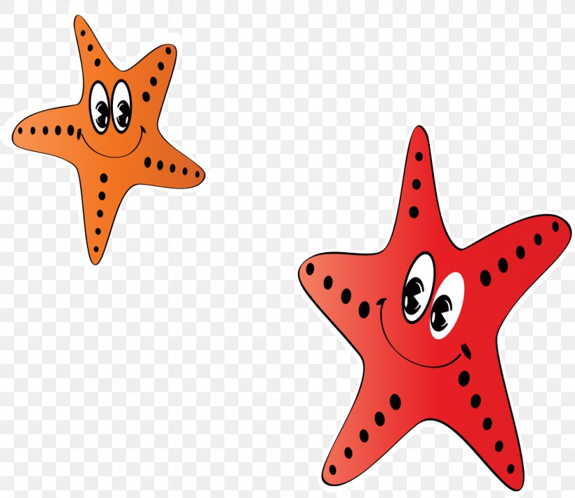 Star, PNG, 1069x928px, Starfish, Animation, Cartoon, Drawing, Echinoderm Download Free