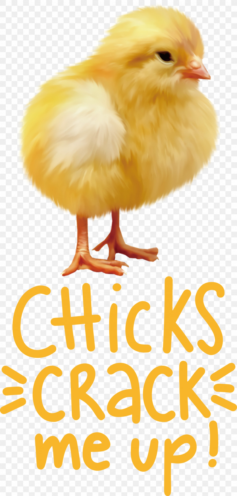 Chicks Crack Me Up Easter Day Happy Easter, PNG, 1436x3000px, Easter Day, Beak, Chicken, Happy Easter, Landfowl Download Free