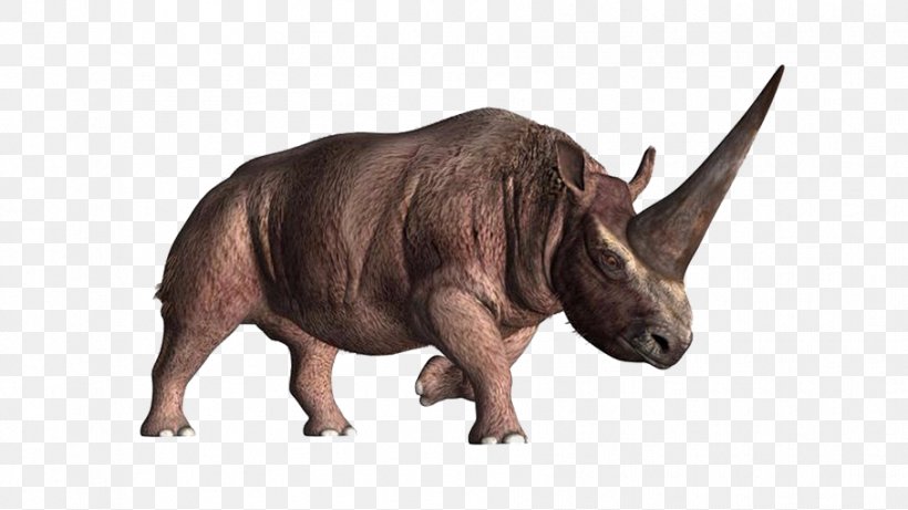 Elasmotherium Horn Unicorn Prehistory Woolly Rhinoceros, PNG, 907x510px, Elasmotherium, Alamy, Cattle Like Mammal, Dinosaur, Elasmotherium Sibiricum Download Free