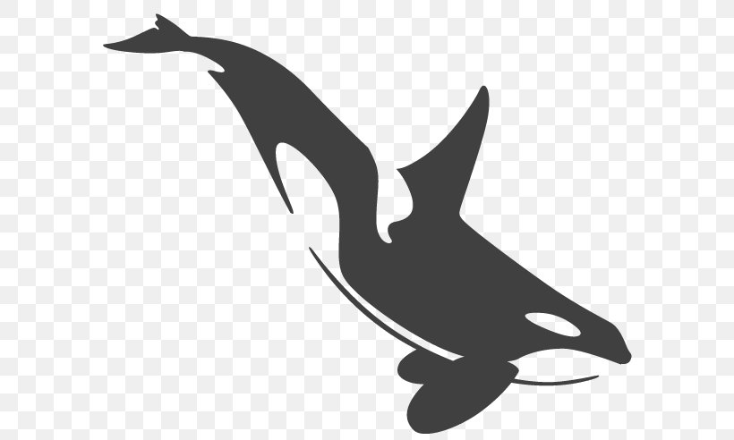 Killer Whale Cetaceans Tattoo Toothed Whale, PNG, 600x492px, Killer Whale, Animal, Beak, Bird, Black And White Download Free