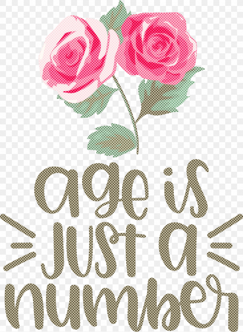 Birthday Age Is Just A Number, PNG, 2193x3000px, Birthday, Cabbage Rose, Cut Flowers, Floral Design, Flower Download Free