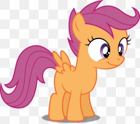 Sleepless In Ponyville - Scootaloo Rainbow Dash Twilight Sparkle Pinkie Pie Pony PNG