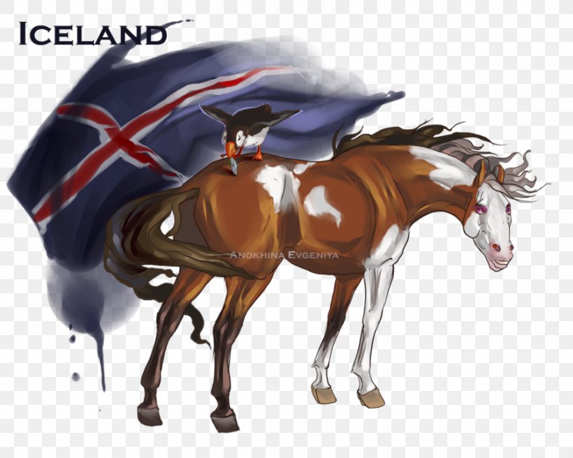 Stallion Mustang Pony Icelandic Horse Hetalia: Axis Powers, PNG, 900x720px, Stallion, Bridle, Equestrian, Equus, Hetalia Axis Powers Download Free