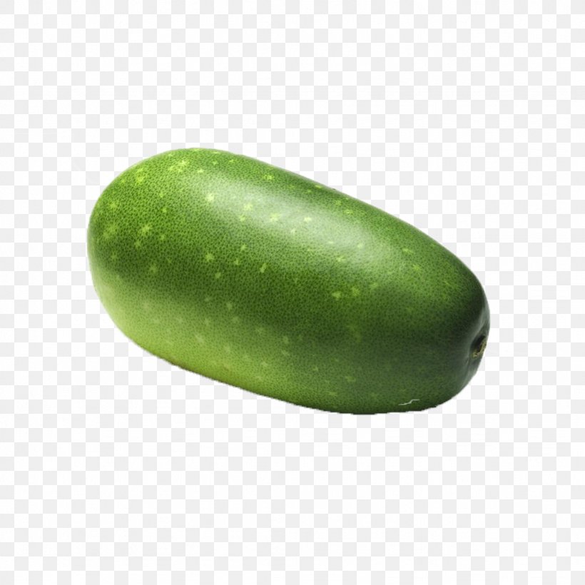 Wax Gourd Cucumber Avocado Fruit Melon, PNG, 1024x1024px, Wax Gourd, Avocado, Cucumber, Cucumber Gourd And Melon Family, Cucumis Download Free