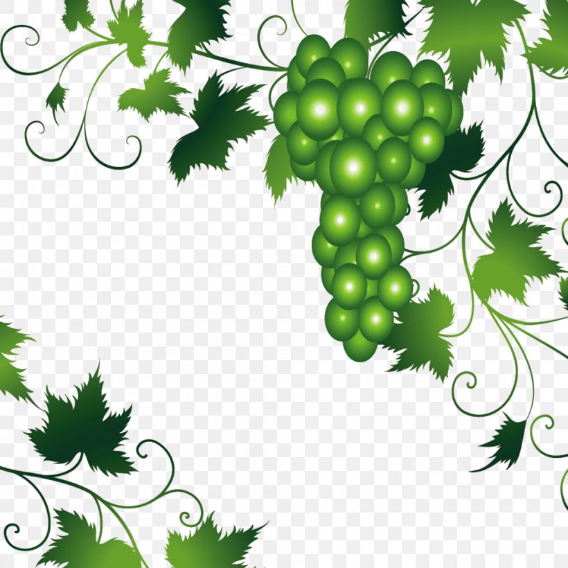 Wine Grapevines Leaf, PNG, 1000x1000px, Wine, Branch, Flora, Floral Design, Flowering Plant Download Free