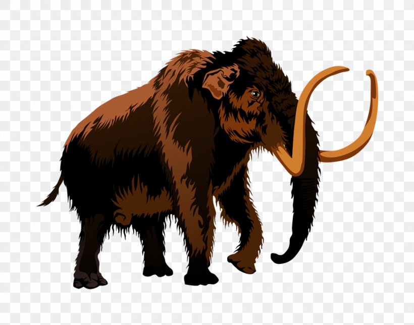 African Elephant Indian Elephant Woolly Mammoth Clip Art, PNG, 960x755px, African Elephant, Animal Figure, Bluza, Cattle Like Mammal, Dinosaur Download Free