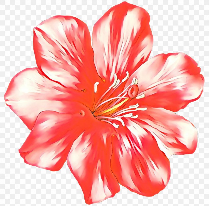 Clip Art Image Drawing Desktop Wallpaper, PNG, 1414x1393px, Drawing, Botany, Chinese Hibiscus, Flower, Flowering Plant Download Free