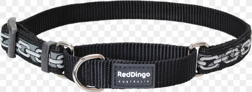 Dog Collar Dingo Dog Collar Leash, PNG, 3000x1095px, Dog, Belt, Breed, Cat, Chain Download Free