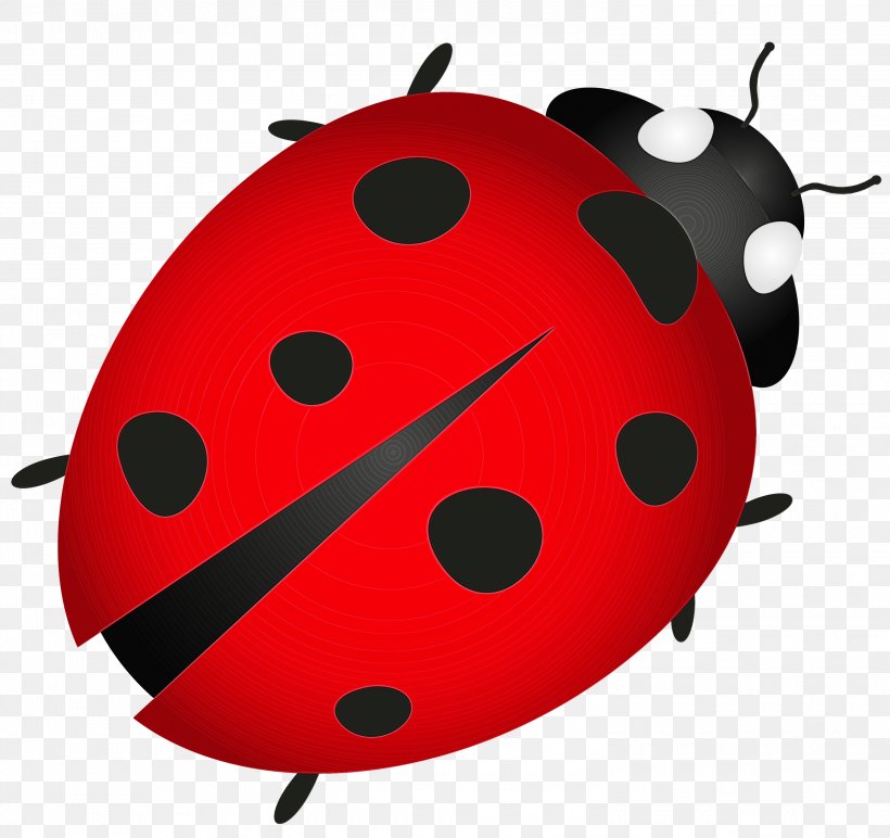 Ladybird Beetle Clip Art Drawing, PNG, 3000x2827px, Ladybird Beetle, Beetle, Cartoon, Drawing, Insect Download Free