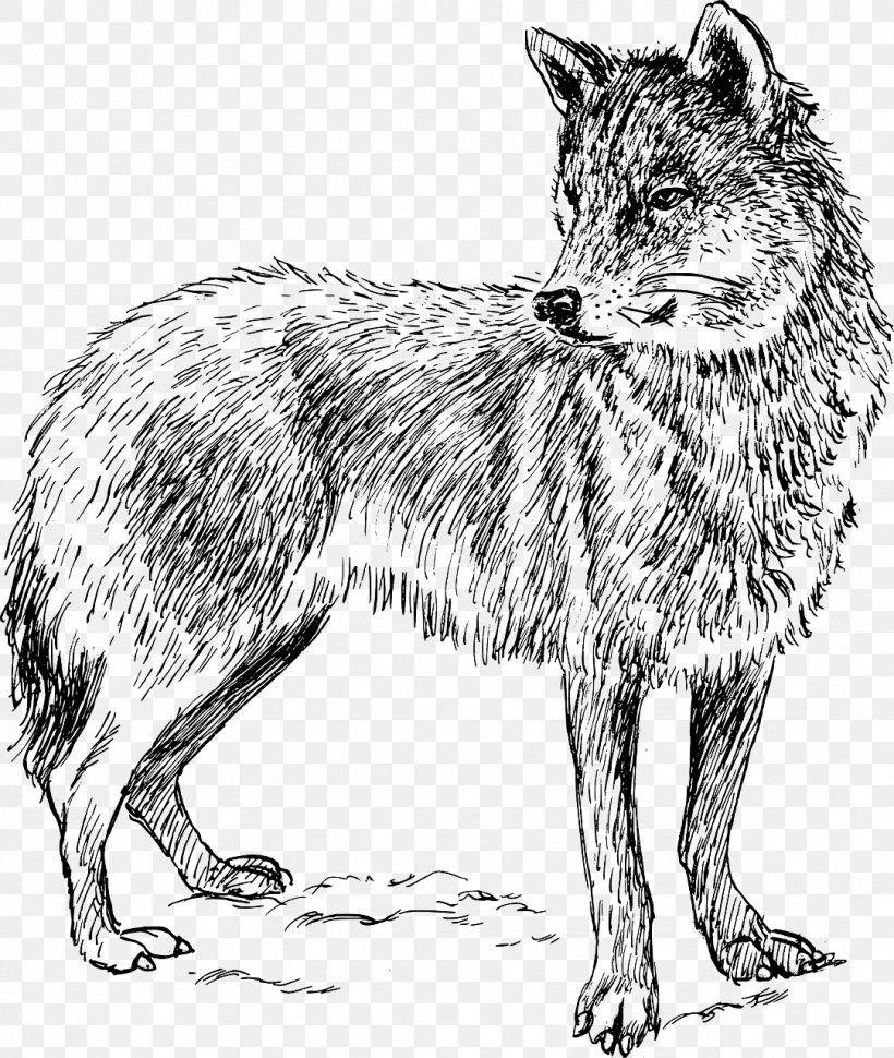Arctic Wolf Coyote Iberian Wolf Wolf Walking Clip Art, PNG, 1082x1280px, Arctic Wolf, Aullido, Black And White, Black Wolf, Carnivoran Download Free