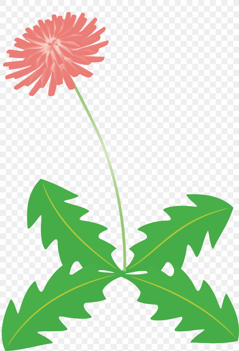 Dandelion Flower, PNG, 2043x3000px, Dandelion Flower, Cut Flowers, Flower, Flower Garden, Flowerpot Download Free