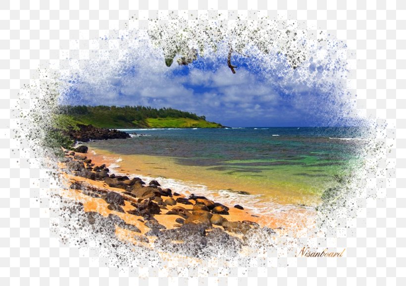 Watercolor Natural, PNG, 800x578px, Hawaiian Beaches, Acrylic Paint, Bay, Beach, Coast Download Free