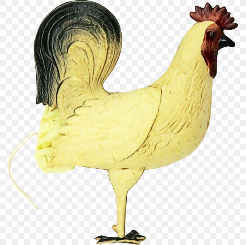 Chicken Bird Rooster Comb Poultry, PNG, 1153x1153px, Watercolor, Animal Figure, Beak, Bird, Chicken Download Free