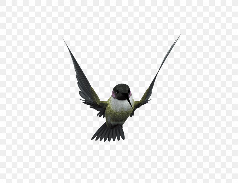 Hummingbird Flight Beak, PNG, 1042x805px, Bird, Beak, Blackcapped Kingfisher, Common Kingfisher, Fauna Download Free