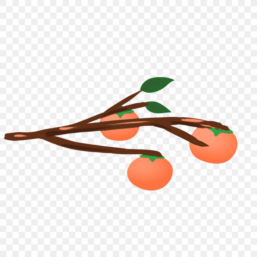 Japanese Persimmon Fruit Illustration Graphics Common Persimmon, PNG, 1000x1000px, Japanese Persimmon, Branch, Common Persimmon, Credit, Fruit Download Free
