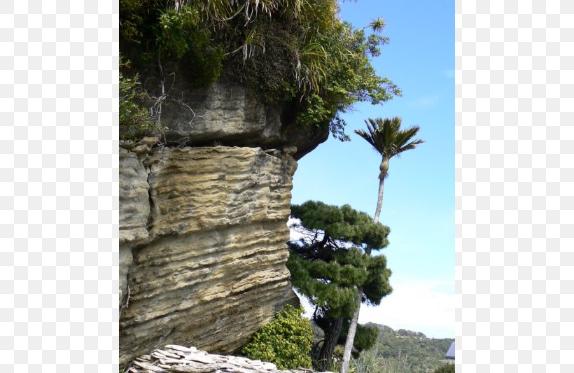 Tree Outcrop Escarpment Tourism Cliff M, PNG, 800x533px, Tree, Arecales, Cliff, Cliff M, Escarpment Download Free