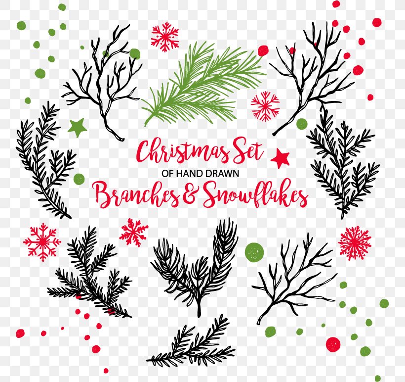Christmas Tree Branch, PNG, 757x772px, Christmas Tree, Art, Branch, Christmas, Christmas Decoration Download Free