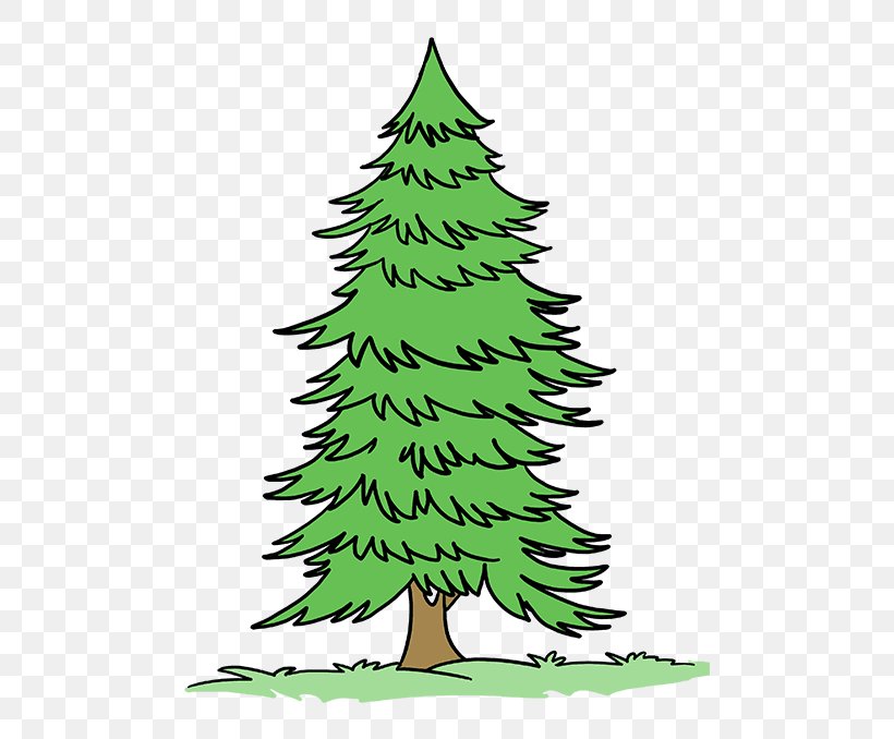 Drawing Image Spruce Stock Illustration, PNG, 680x678px, Drawing, American Larch, Art, Balsam Fir, Christmas Decoration Download Free