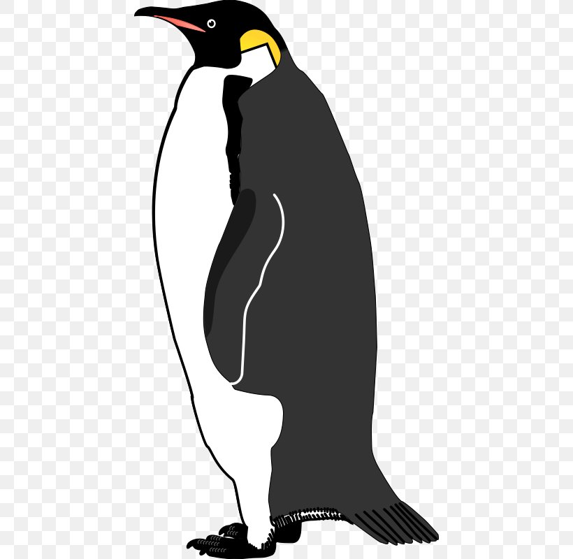 Emperor Penguin Bird Vector Graphics Image, PNG, 436x800px, Penguin, Artwork, Beak, Bird, Black And White Download Free