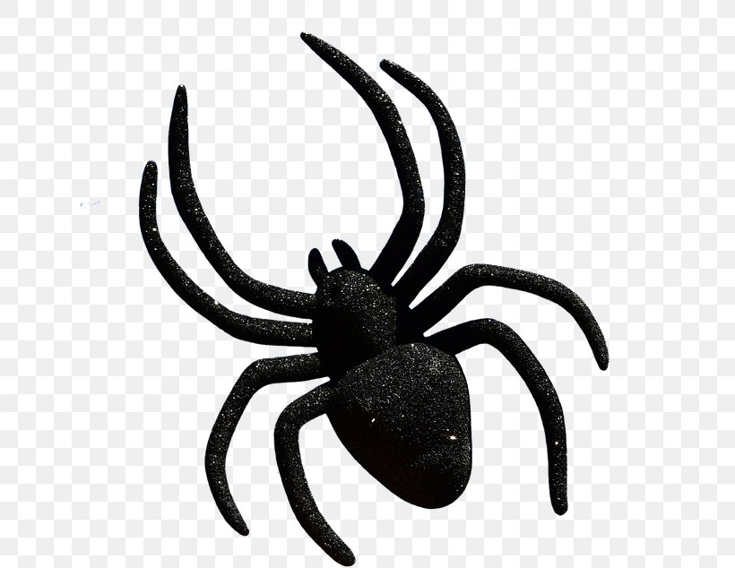 Spider Halloween Trick-or-treating Clip Art, PNG, 640x634px, Spider, Arachnid, Arthropod, Black And White, Decapoda Download Free
