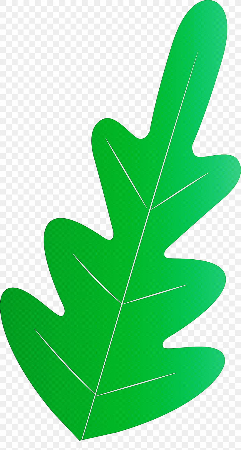 Tree Line, PNG, 1610x2999px, Leaf, Biology, Flower, Fruit Tree, Leaf Angle Distribution Download Free