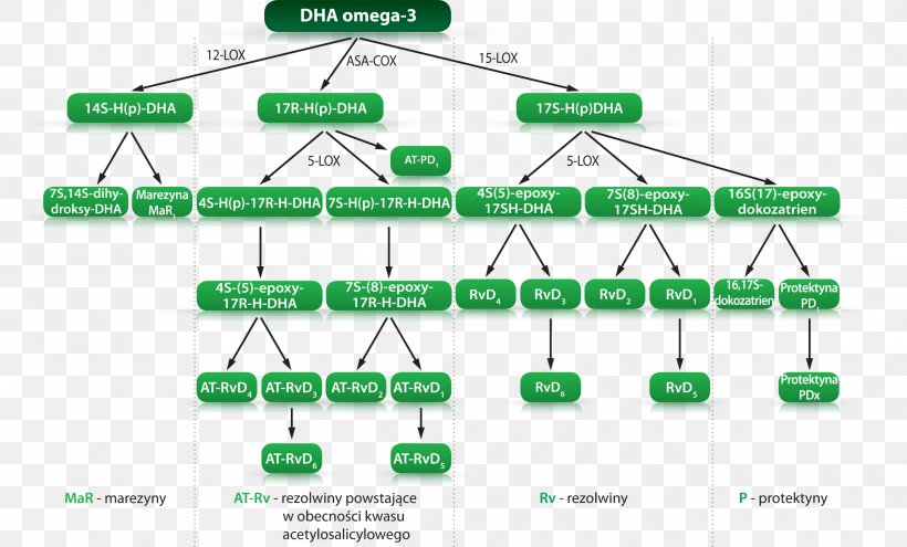 Arachidonic Acid Omega-3 Fatty Acid Prostaglandin Omega-6 Fatty Acid Eicosapentaenoic Acid, PNG, 2644x1599px, Arachidonic Acid, Acid, Area, Cyclooxygenase, Diagram Download Free