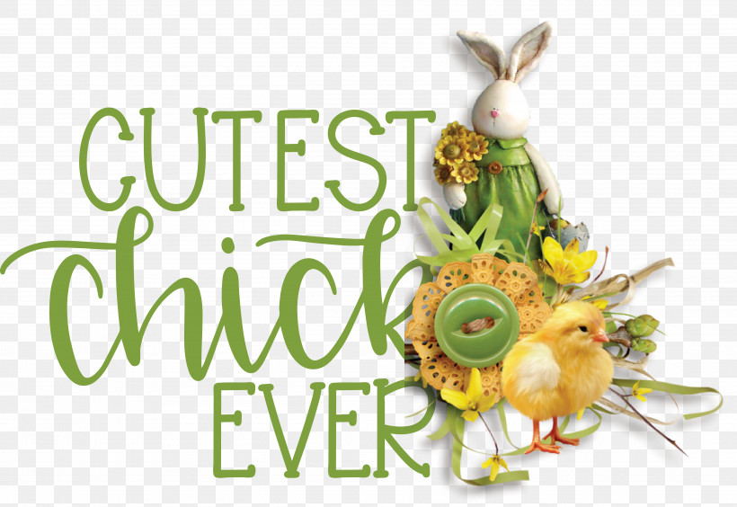 Easter Bunny, PNG, 4840x3333px, Easter Bunny, Biology, Flower, Fruit, Meter Download Free